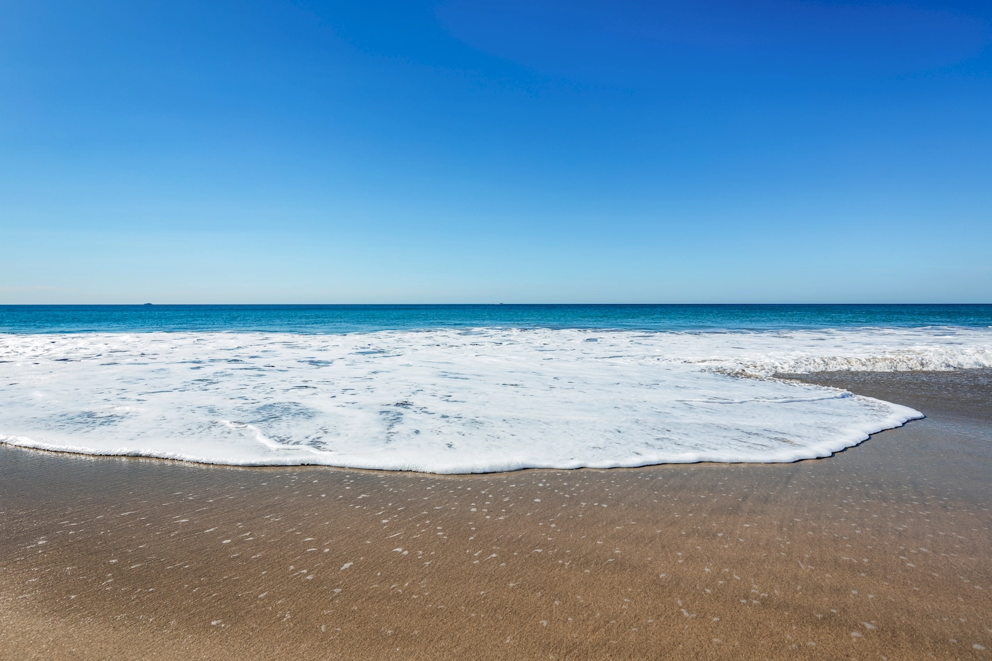 Tortuga Bay_0006