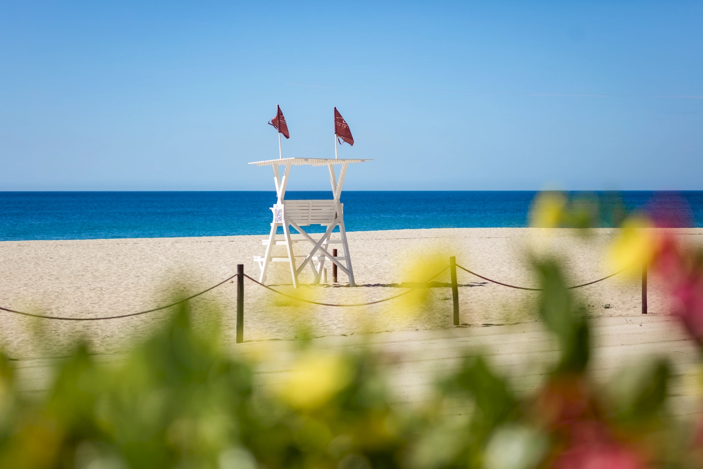 Tortuga Bay_0018